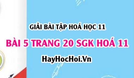 Giải bài 5 trang 20 SGK Hoá 11: Phản ứng trao đổi ion trong dung dịch chất điện li